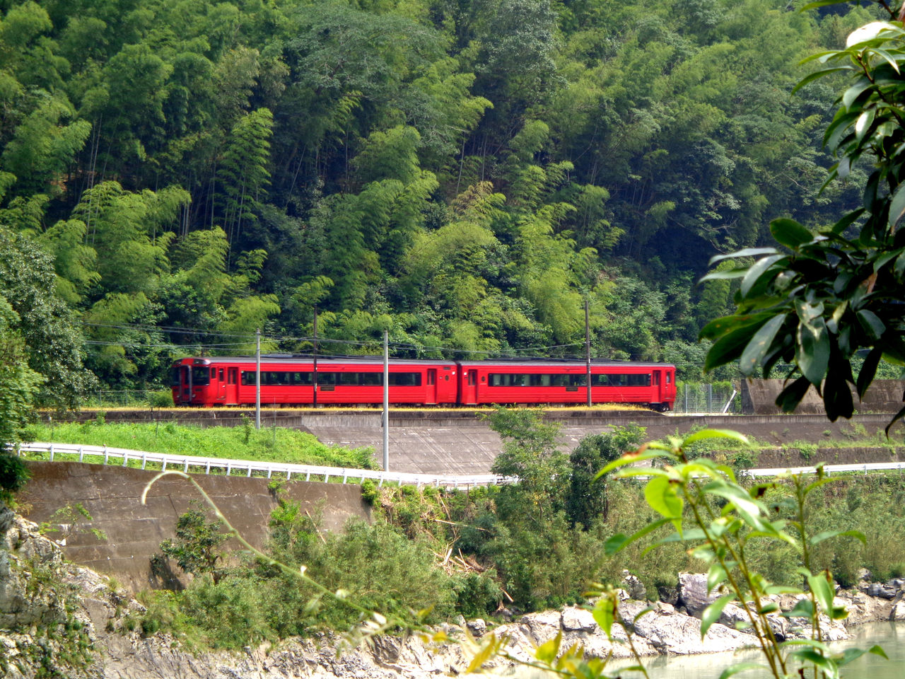 夏 ビューティフル エブリデイ 15 つねぴょんの 撮り鉄人生
