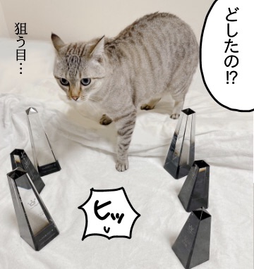 1A92F057-F409-42F8-9BCB-B5093AF72DD2
