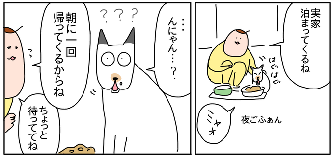 26771DC0-9E59-4849-915C-C22888360544