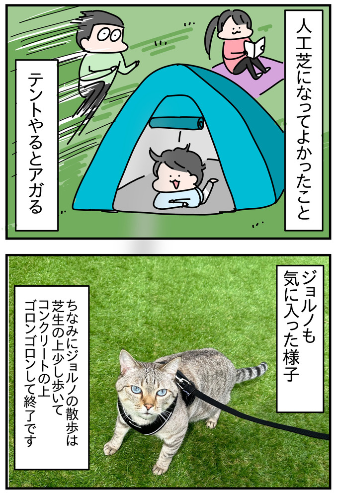 539ABCCE-D8E8-4D8D-A65E-FABACFFC4706