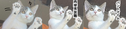 FDD9A519-CFEC-45FC-B2F4-A6ED3D384751