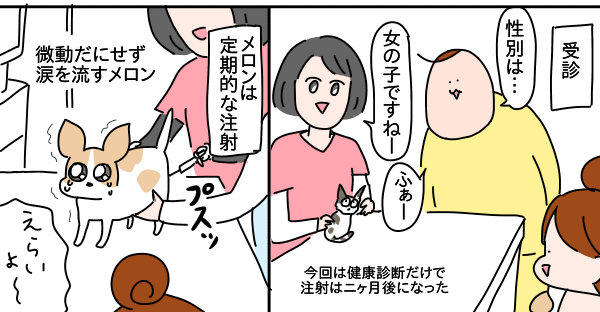 5D1573CC-BC1F-43FF-82A8-C169B93F50F8