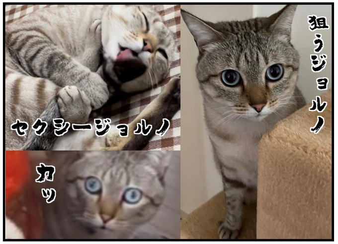 29C4339E-D12B-40E8-BF62-63DB531DF991