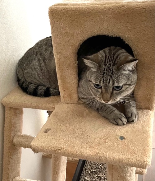 BC72AD12-3EE1-4DA8-9B46-6081475B1325