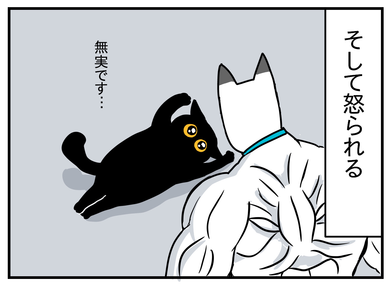 ねこ⚠️プロフ必読ページ 猫の名はポル㉖ : つんの日常ブログ Powered by ライブドアブログ