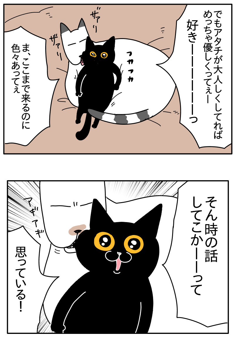 猫の名はポル① : つんの日常ブログ Powered by ライブドアブログ