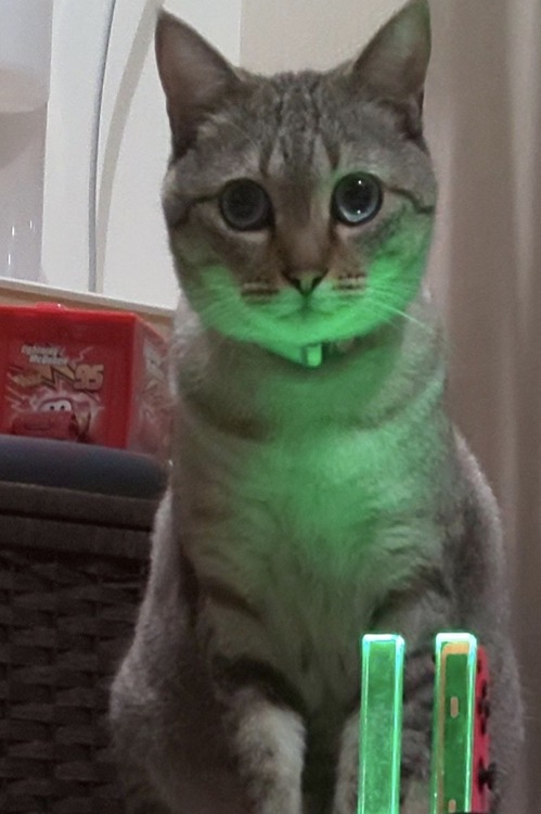 987015D9-DC74-4EAE-A6EC-CB768E530629