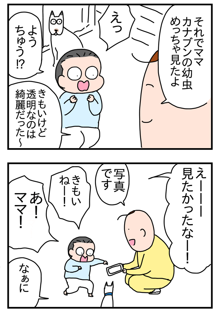 424285B9-A064-440D-A8A2-41EF763140AF