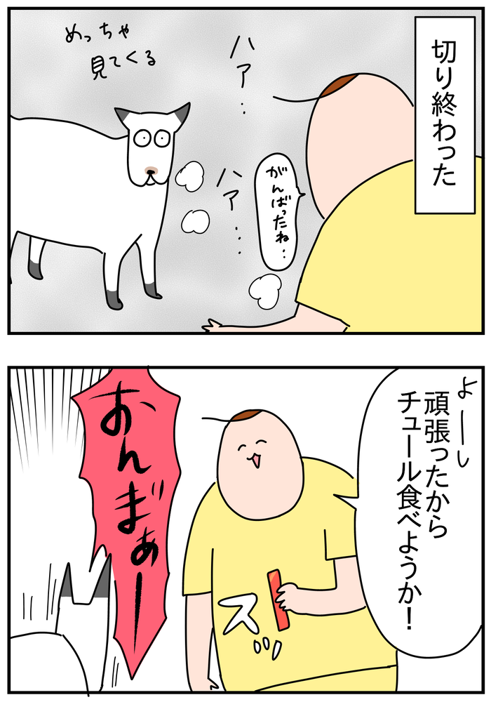 E97E54CE-D0AD-4EF3-BC45-22C9FF0116A1