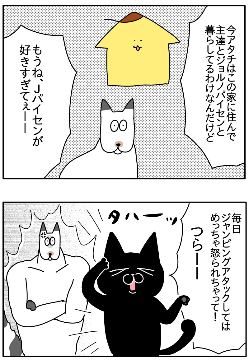 猫の名はポル① : つんの日常ブログ Powered by ライブドアブログ