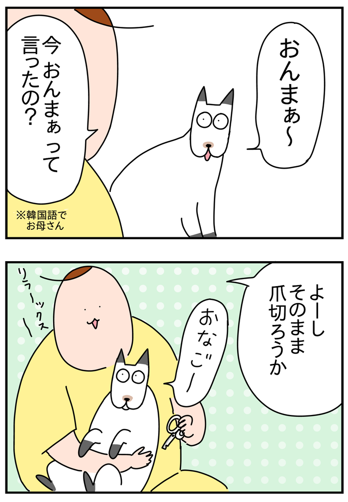 9D0F204B-4ABB-4252-94D9-6C20A17621B3