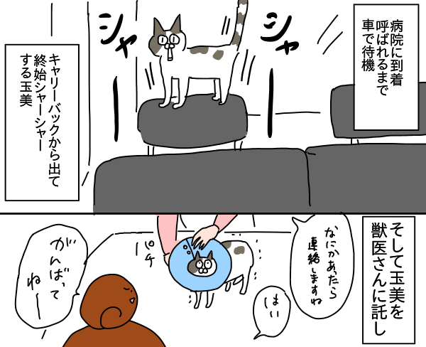 2FD2B295-52E3-4D05-BB72-B6DF7CBB9890