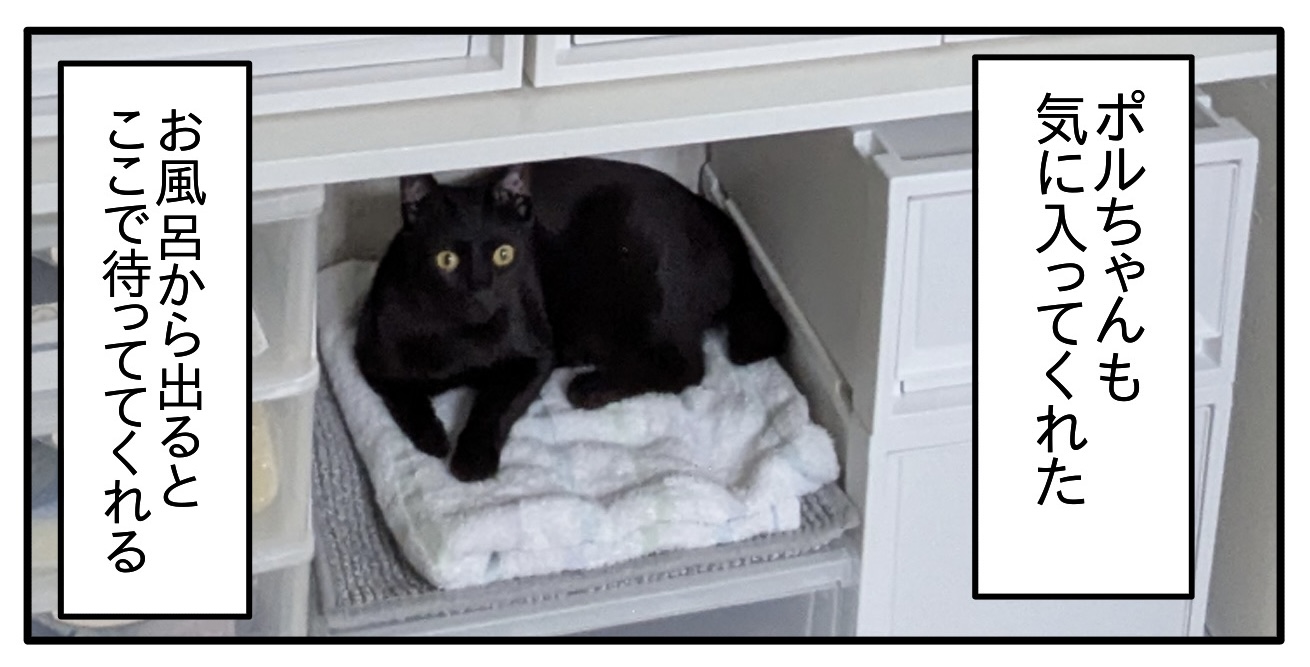 脱魔窟・断捨離レポ⑮−2 : つんの日常ブログ Powered by ライブドアブログ