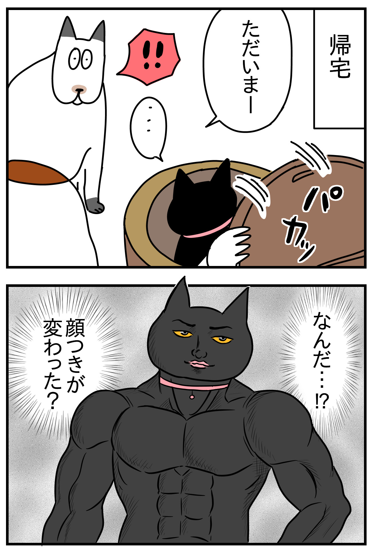 猫の名はポル㉖ : つんの日常ブログ Powered by ライブドアブログ