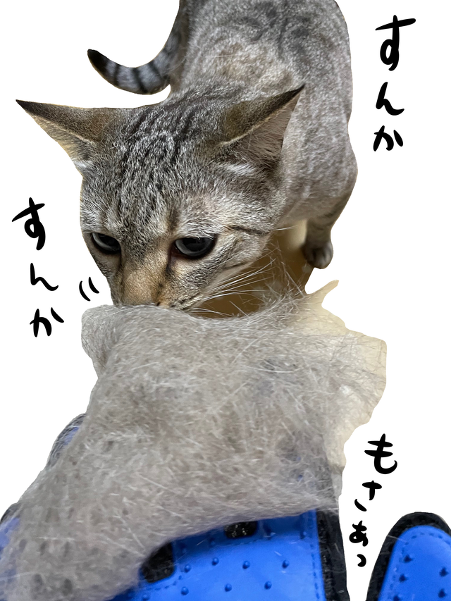 55B7D362-5020-461E-900F-F53FEDC23C35