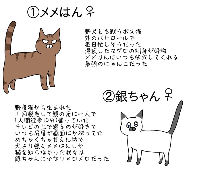 歴代のにゃんこ〜スーパー猫の日〜 : つんの日常ブログ Powered by