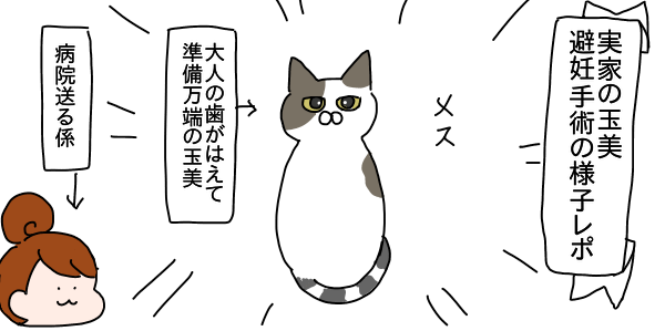 894CC3DF-BD60-446D-9E6F-C8BD0B0FCE4E