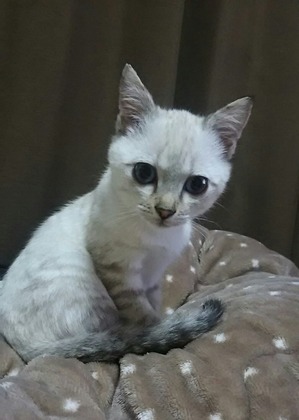 00965510-A6BC-4CD2-BF82-D200AD227B77