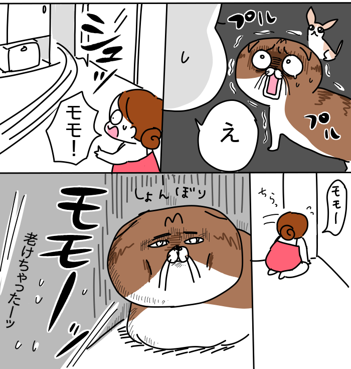 0BD797B9-3297-4D23-9301-AC5AF410689F