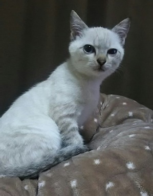 197D2739-2706-42DF-BCFF-C8D2A1769B63