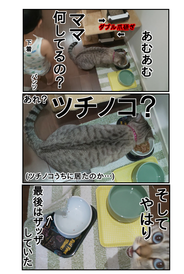 CBF5E80F-7F8C-44E5-B919-0EEAEA3DEDC1