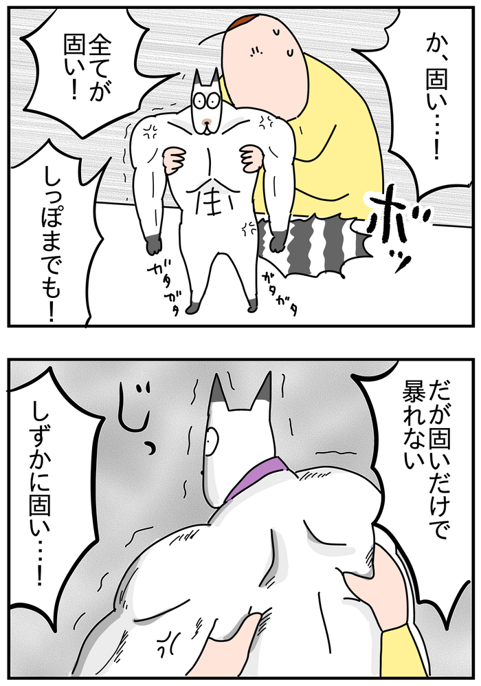 95CE63F3-B02C-4494-89F5-5CB48B679937