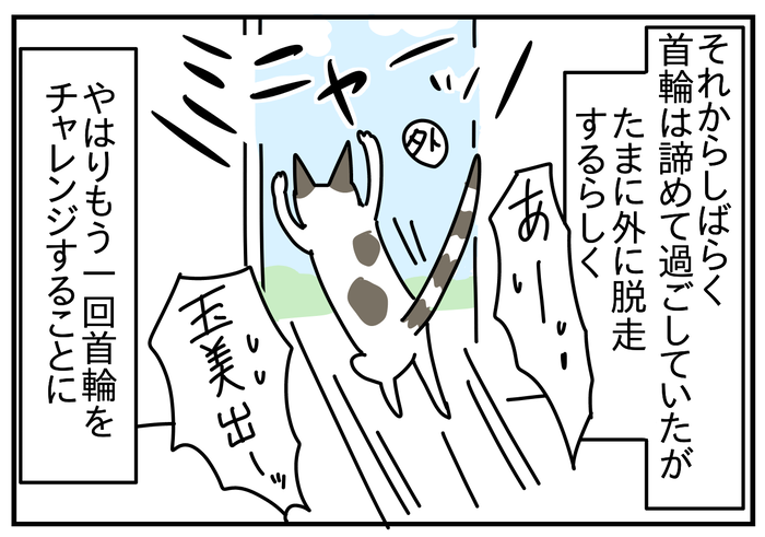 1DBB615B-7489-4467-BAC7-DB045C5EC33C