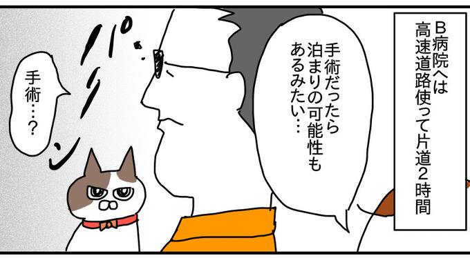 9DC10516-7653-4BB7-A267-C06B076166DD