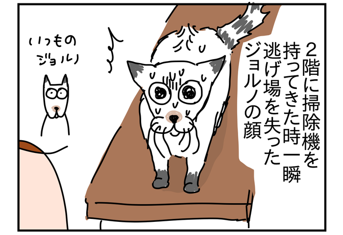 7368DDBC-E333-4183-913B-679CB653FB3C