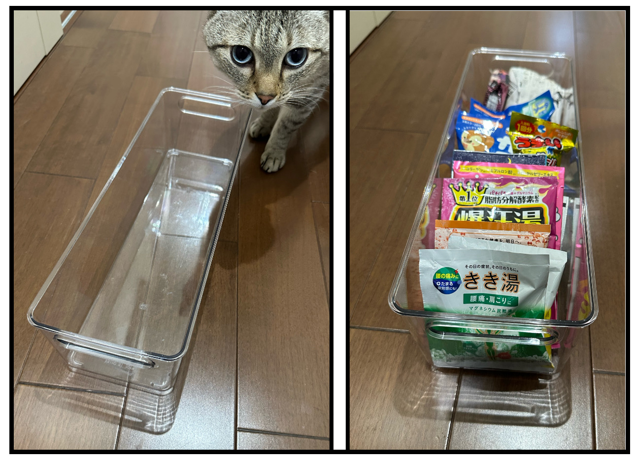 脱魔窟・断捨離レポ⑮−2 : つんの日常ブログ Powered by ライブドアブログ