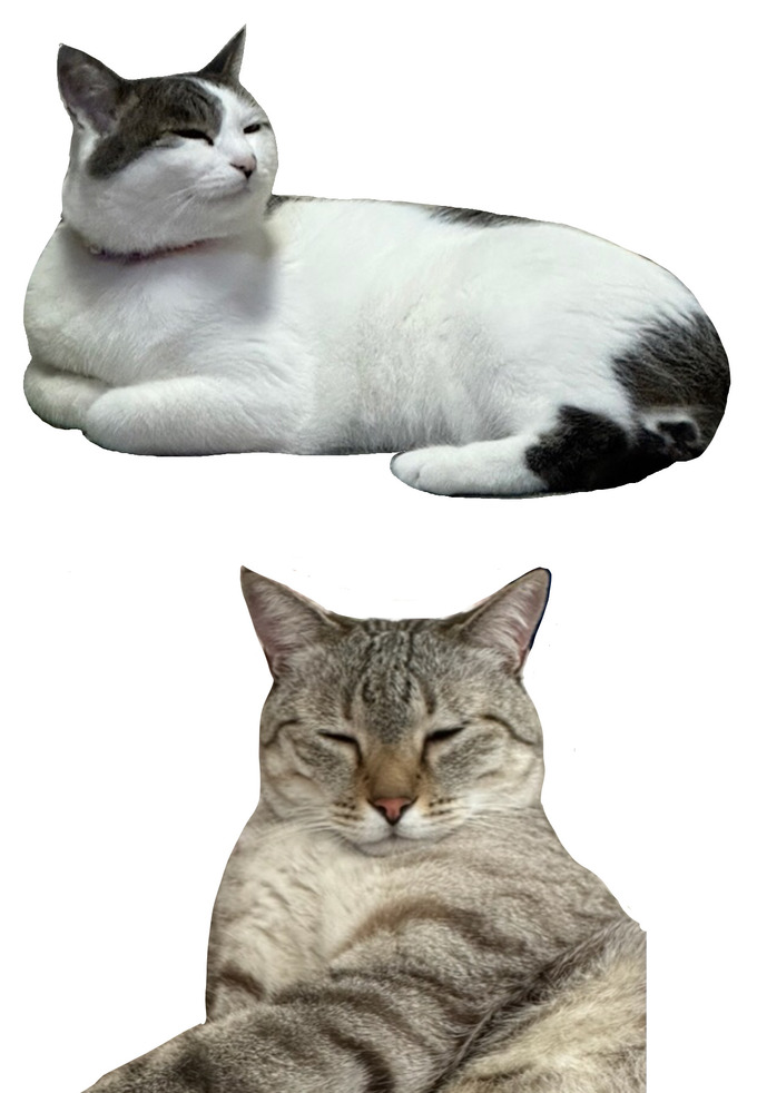 F0DB8FF6-86EA-4443-8A9D-1FACD72D27C5