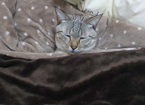 925F6578-77C6-4B03-8F32-CF89A12BB27B