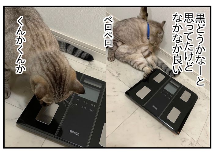 CDD486F1-98F1-491C-B20E-B9C2CB21697E