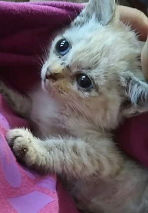 B03CC246-AF52-403E-A8F0-E7CEB50B375F