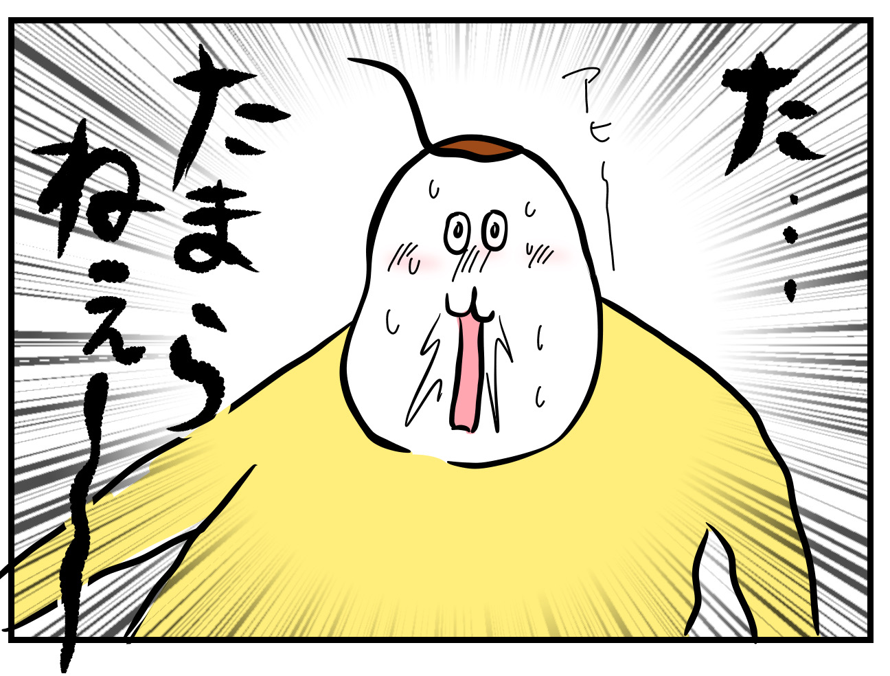 脱魔窟・断捨離レポ⑮−2 : つんの日常ブログ Powered by ライブドアブログ