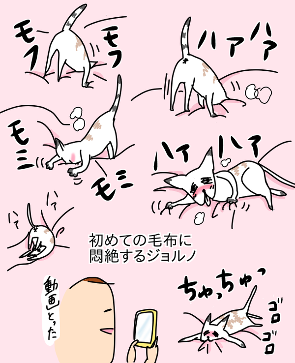 5CB601CA-E6D7-4887-B5C5-0789FABD5CAC