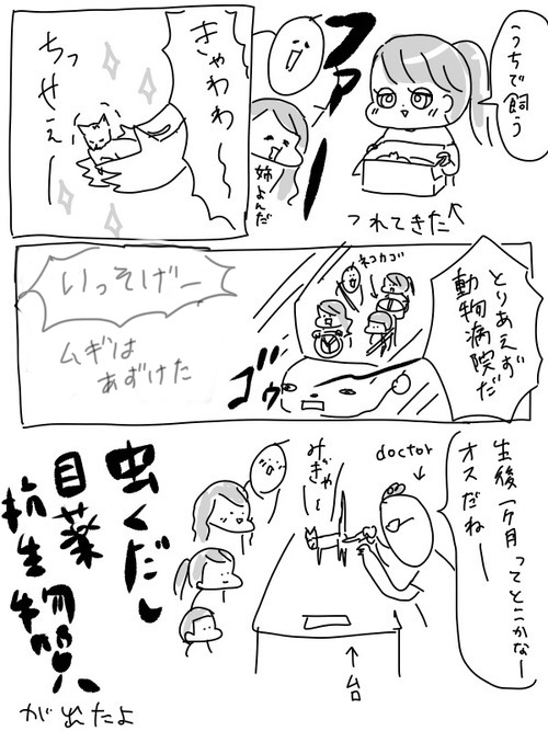 AA430A2B-B346-4602-86F0-9C4907E9A47E