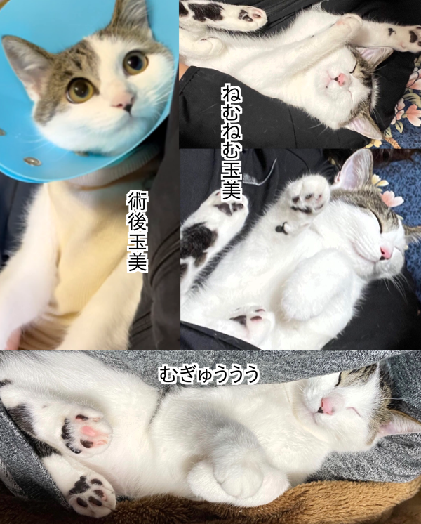 8C456686-F9A8-4850-908C-6C3F9935C4C1