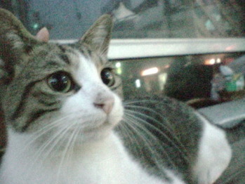 minase_san