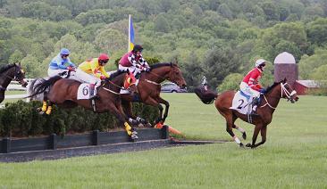 horserace