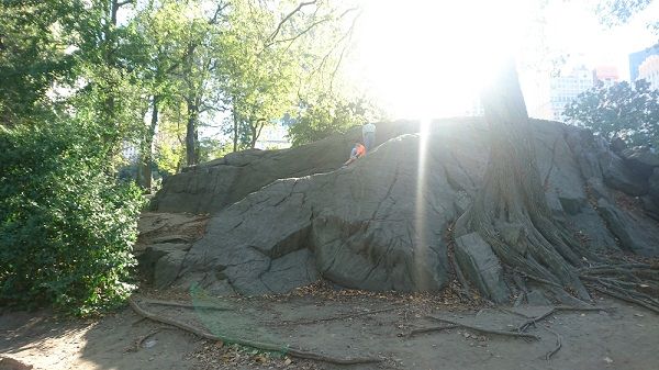 centralpark_stone