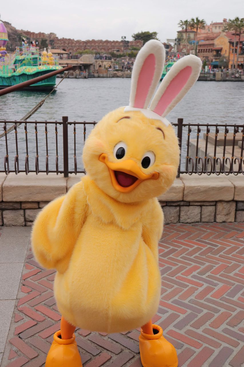 うさピヨをドナポジ一列目で見れた話 みにおのディズニーblog うさピヨをドナポジ一列目で見れた話 みにおのディズニーblog