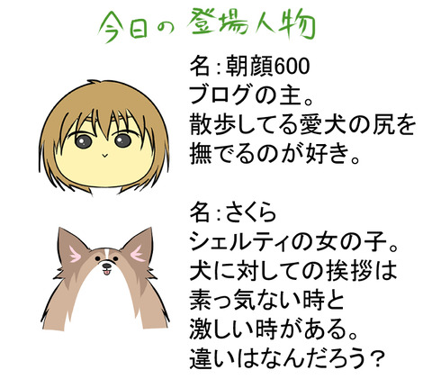自己紹介C