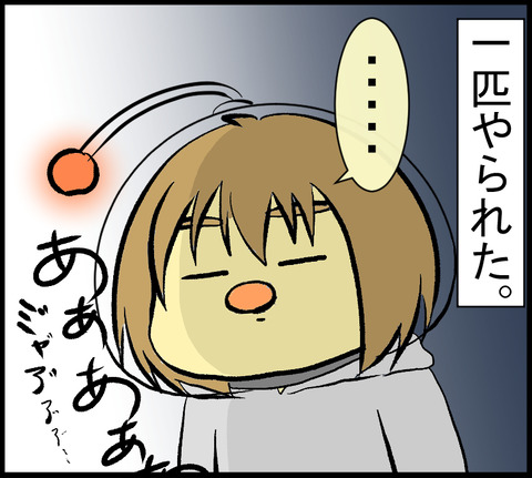 20201225E