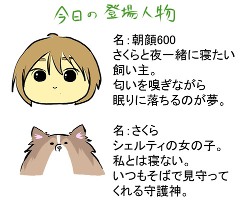 自己紹介C