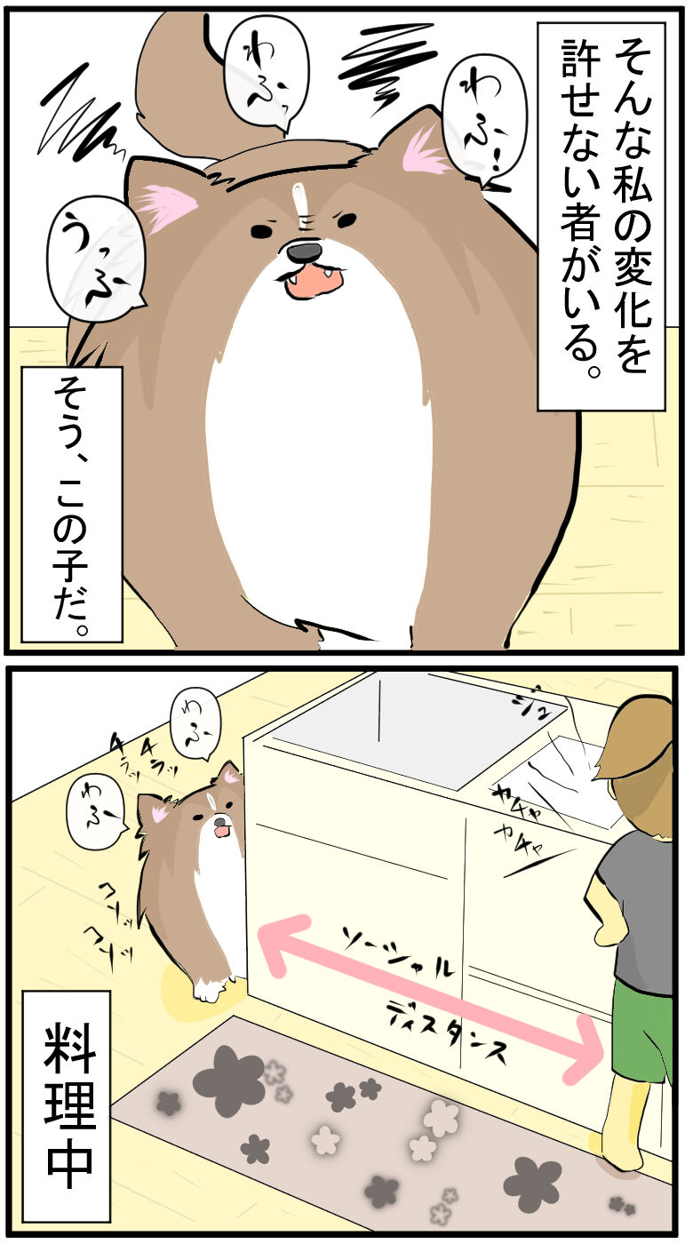 飼い主の変化が許せない犬 陰キャだけど陽気に生きる日記