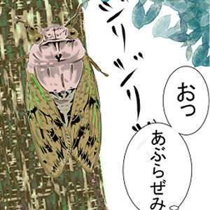 せみ