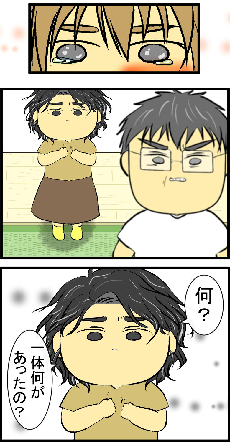 母と娘の確執 其の25 父からの平手打ち 陰キャだけど陽気に生きる日記 Powered By ライブドアブログ