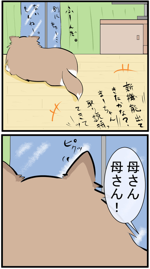 20201007B