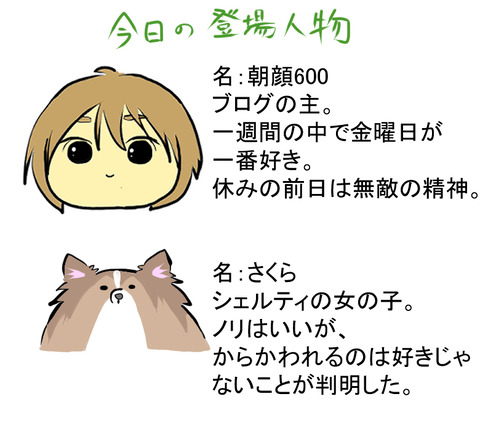 自己紹介C